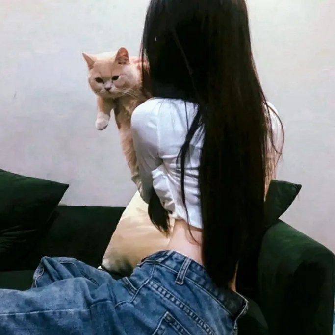 色香味谋杀案