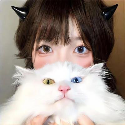 三只小猪